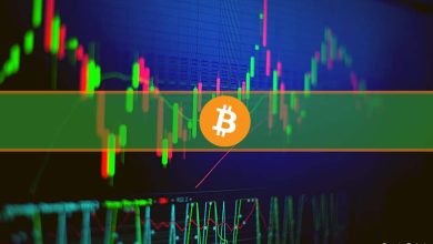 Bitcoin Dominance Reaches 4-Month Peak as Altcoins Lose Momen