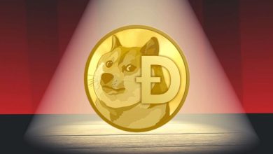 Japan will embrace Dogecoin dog statue in November