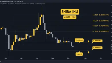 SHIB falls 5.6% weekly, is the worst over?  Three things t