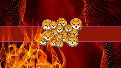 SHIB's burn rate explodes to 100% per day after the Shiba Inu arrives