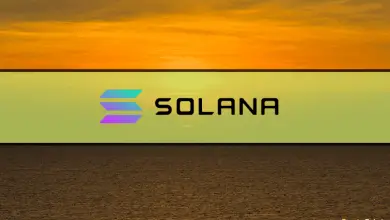 Solana emerged as the most popular altcoin this year with a value of $5 million