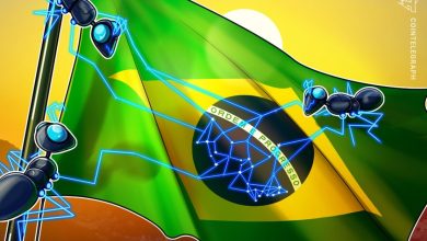The Brazilian Securities Commission plans to establish protection for the token in 2024