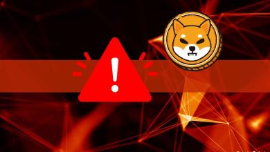 Watch out: Hackers are promoting fake BONE Airdrop via SHIB Telegra