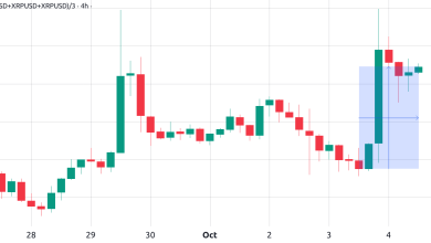 Why did the price of XRP rise today?
