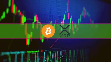 XRP Jumps 4% Following Another Ripple Win Against SEC, BTC St