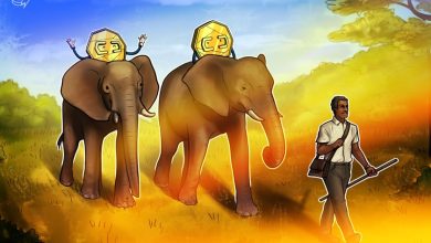 Zimbabwe turns gold-backed digital token into a payment method