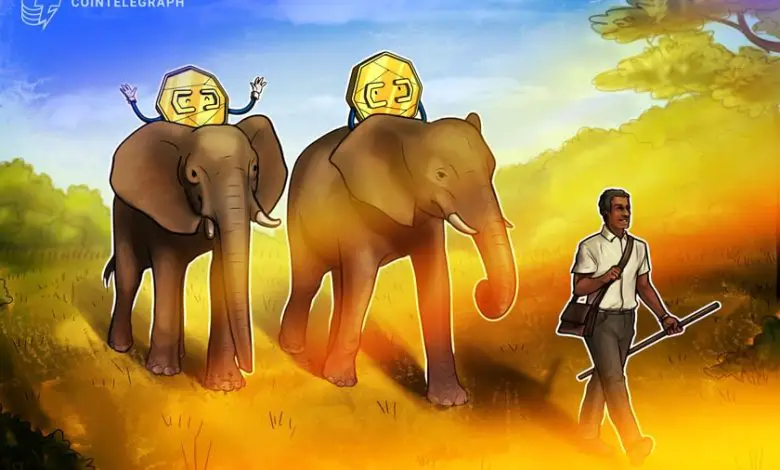 Zimbabwe turns gold-backed digital token into a payment method